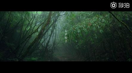 杨幂新剧的导演是谁,杨幂做制片人的微电影