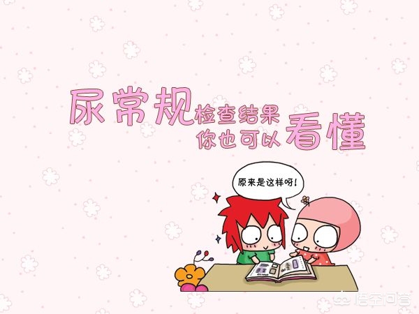 couldn'tconnecttohost