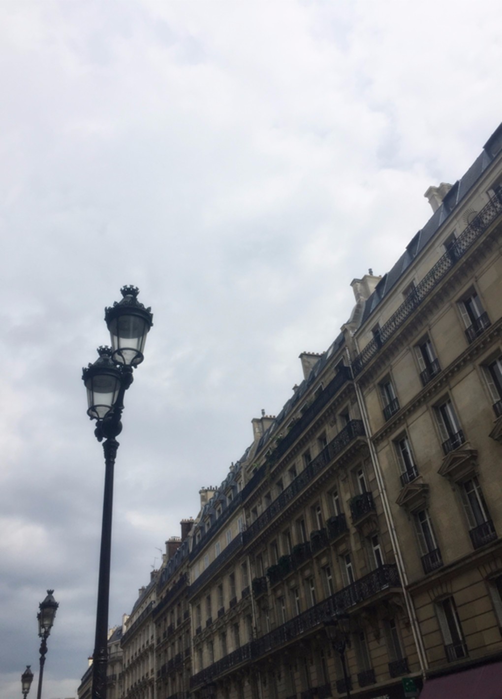 现场||蓝小姐学梁影帝去喂了趟鸽子