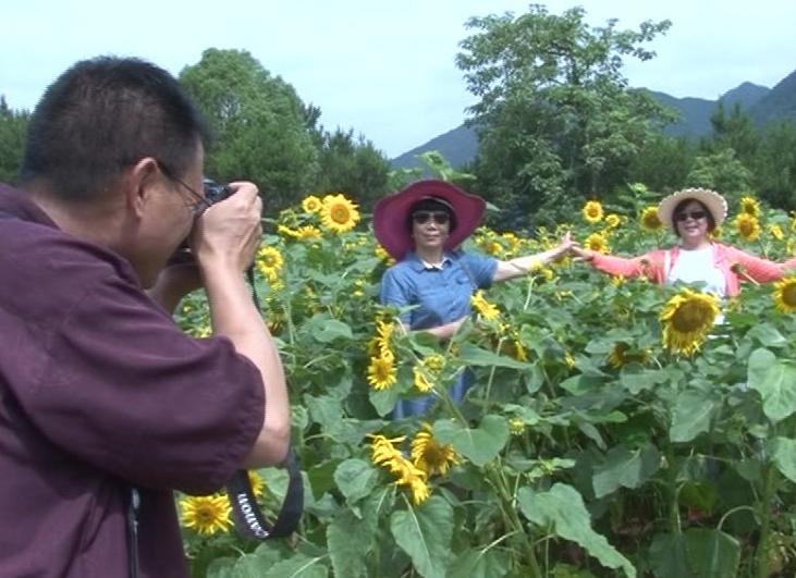 未来三个月没有假期，如何在青田抖high起来~~~（最时髦新玩法）