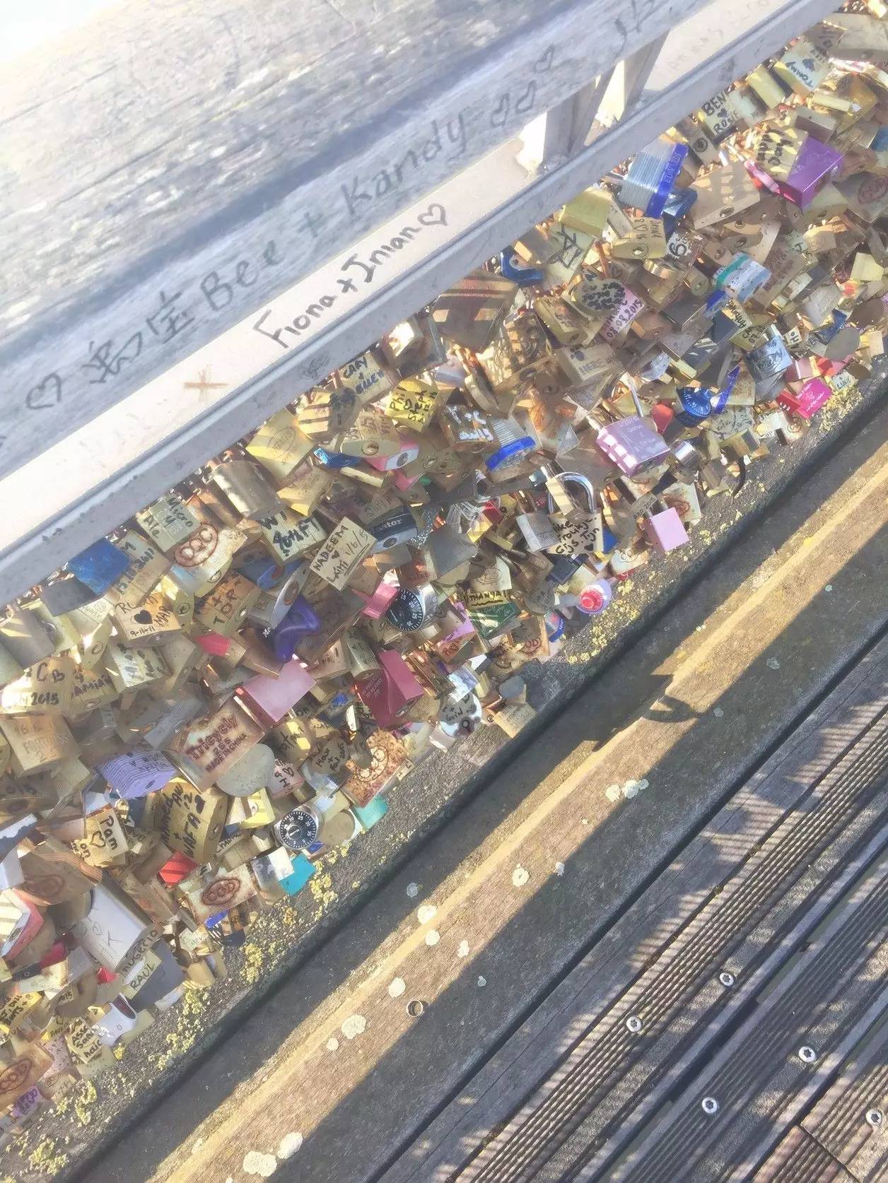 现场||蓝小姐学梁影帝去喂了趟鸽子