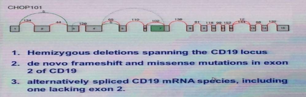 河南120万一针的car-t细胞疗法,120万一针的car-t细胞疗法治疗什么