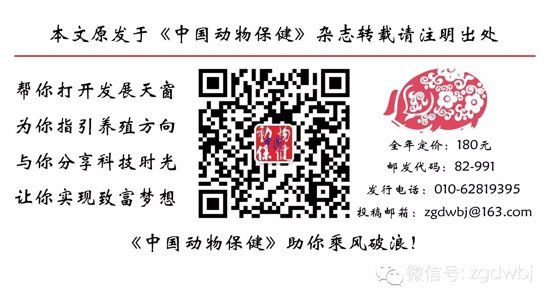 干货丨高温季节5种易发猪病不容忽视