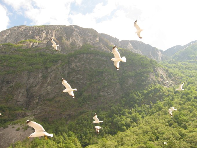 北欧四国丹、瑞、挪、芬，不是穷游的穷游（多图杀猫，字多慎入）