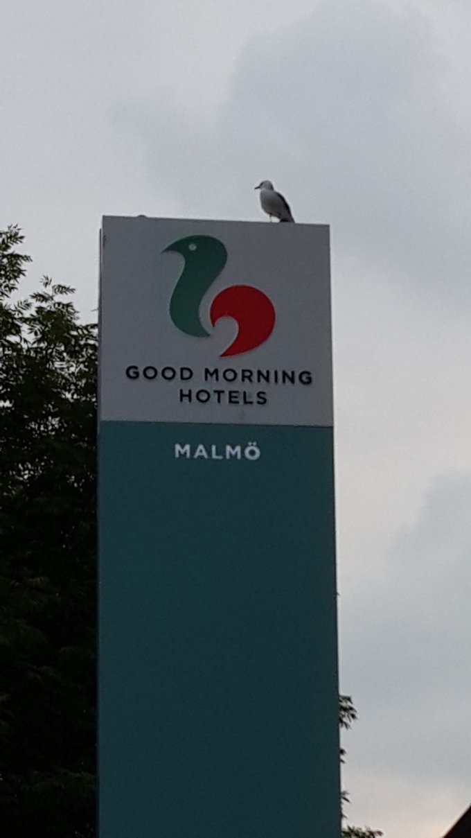 北欧四国丹、瑞、挪、芬，不是穷游的穷游（多图杀猫，字多慎入）