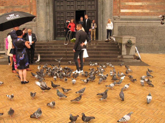 北欧四国丹、瑞、挪、芬，不是穷游的穷游（多图杀猫，字多慎入）