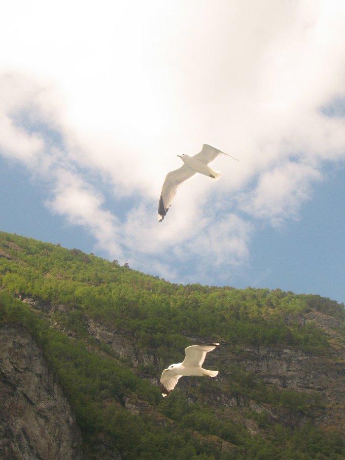 北欧四国丹、瑞、挪、芬，不是穷游的穷游（多图杀猫，字多慎入）
