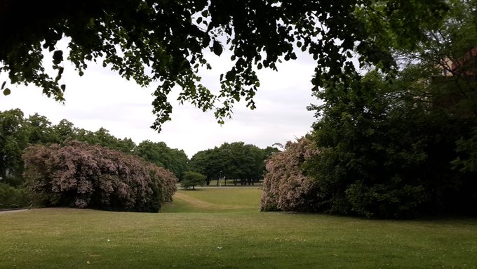 北欧四国丹、瑞、挪、芬，不是穷游的穷游（多图杀猫，字多慎入）