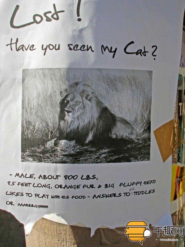 奇葩的招聘启事,招领启事有哪些