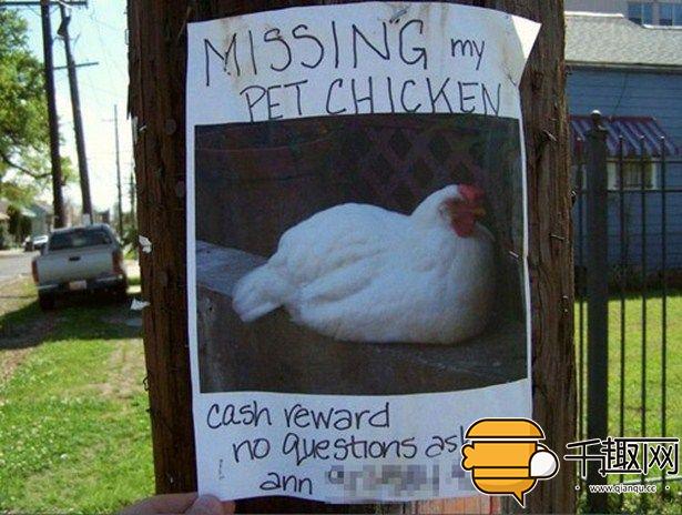 奇葩的招聘启事,招领启事有哪些