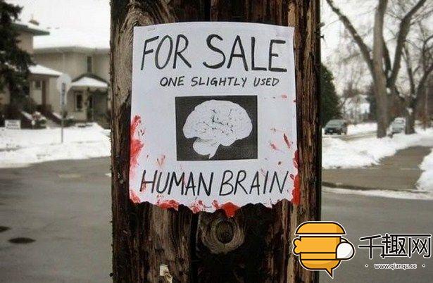 奇葩的招聘启事,招领启事有哪些