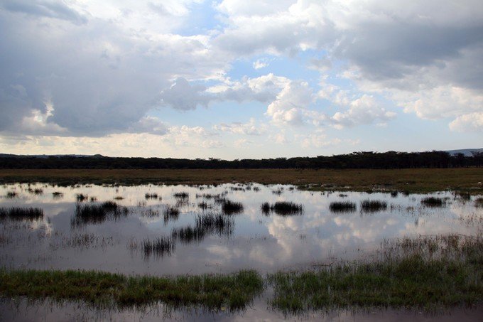 肯尼亚5天难忘的野生动物园,肯尼亚野生动物之旅