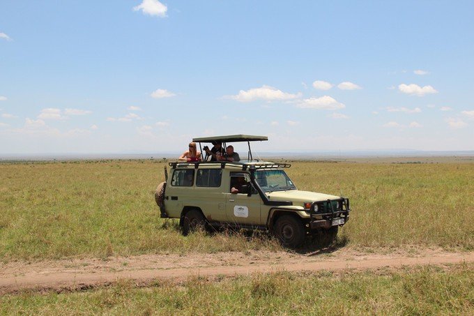 肯尼亚5天难忘的野生动物园,肯尼亚野生动物之旅