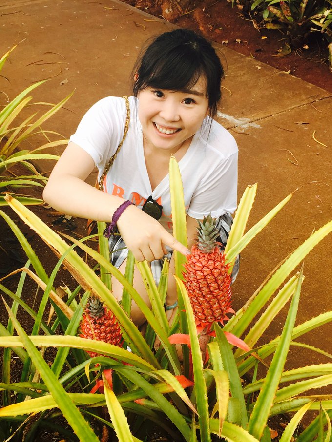 没有意外是哪句电影台词,夏威夷旅行说明