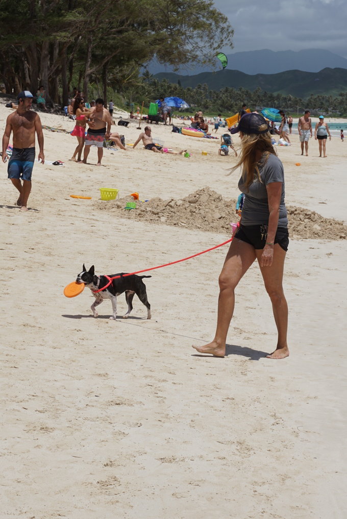 没有意外是哪句电影台词,夏威夷旅行说明