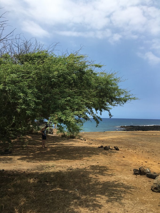 没有意外是哪句电影台词,夏威夷旅行说明
