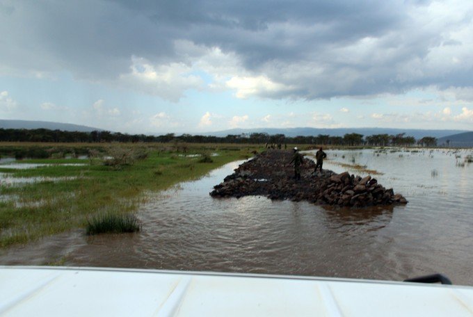 肯尼亚5天难忘的野生动物园,肯尼亚野生动物之旅