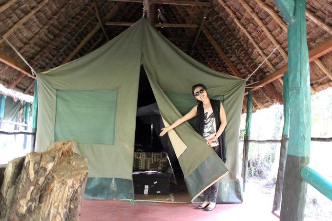 肯尼亚5天难忘的野生动物园,肯尼亚野生动物之旅