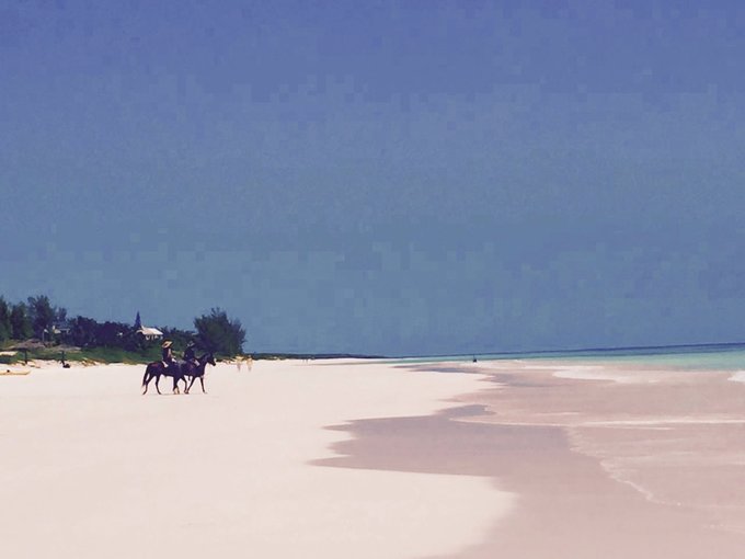 巴哈马旅游风景2020,巴哈马海滩旅游攻略