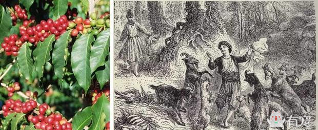 动物吸毒 (动物吸毒会上瘾么)