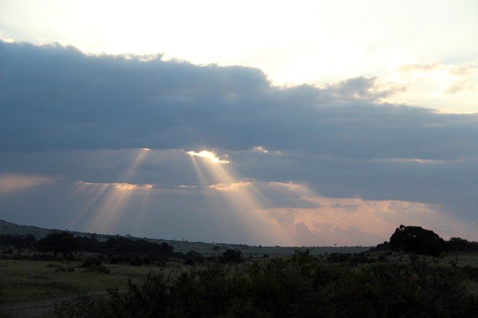 肯尼亚5天难忘的野生动物园,肯尼亚野生动物之旅