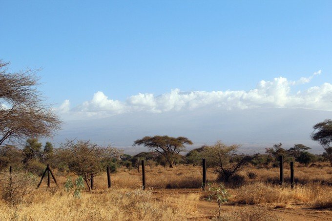 肯尼亚5天难忘的野生动物园,肯尼亚野生动物之旅