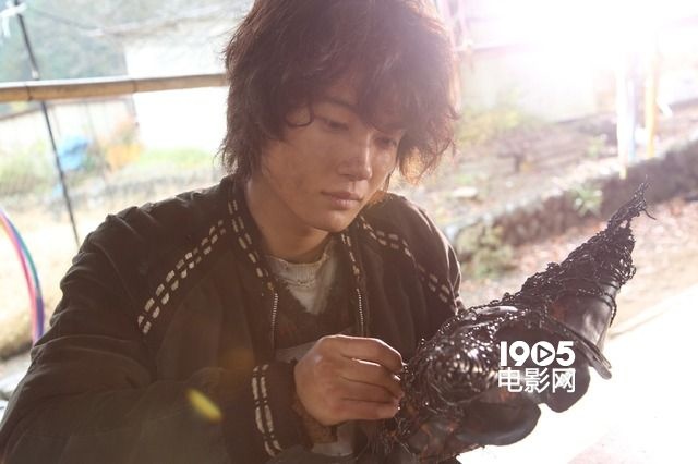 太阳曝光照,太阳照曝光