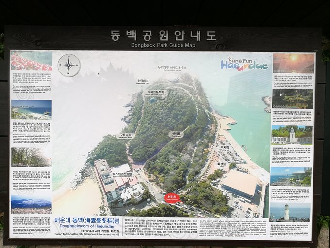 游轮旅行3天2晚地中海,msc地中海抒情号游轮团购