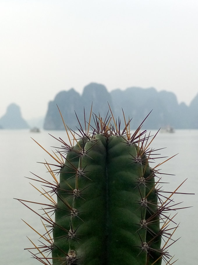 跟团从南宁到北海,越南北海跟团游