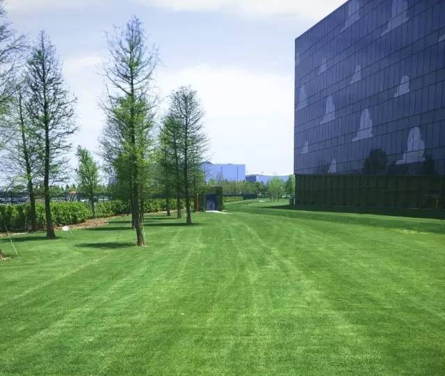 迪士尼新项目建造,万达迪士尼