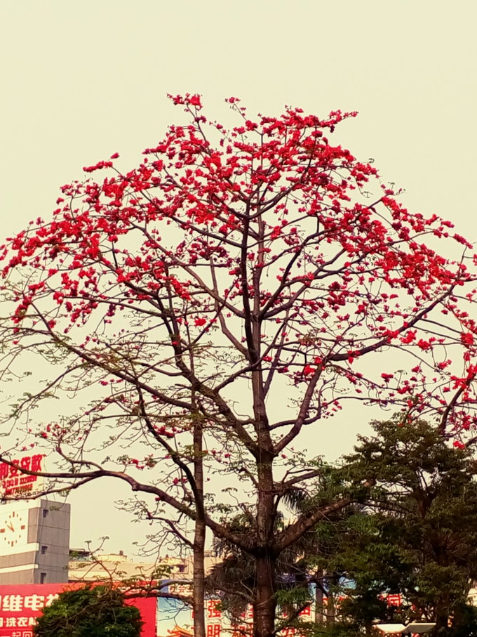 跟团从南宁到北海,越南北海跟团游