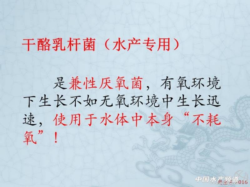 乳酸菌扩培流程,乳酸菌的扩培方法视频