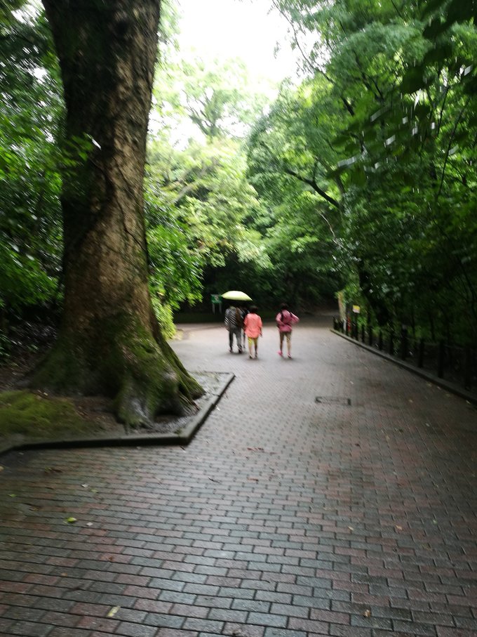 游轮旅行3天2晚地中海,msc地中海抒情号游轮团购