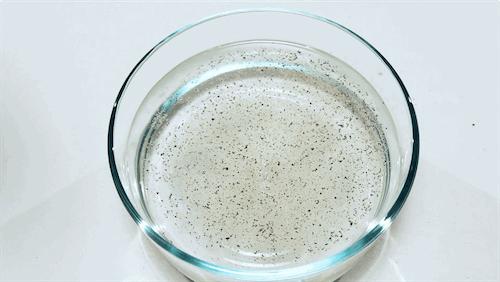 简单炫酷小魔术教程,开学炫酷小魔术教程