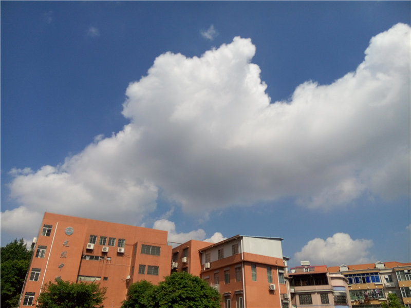 魅蓝699元手机在哪买,魅蓝3s手机值得买吗