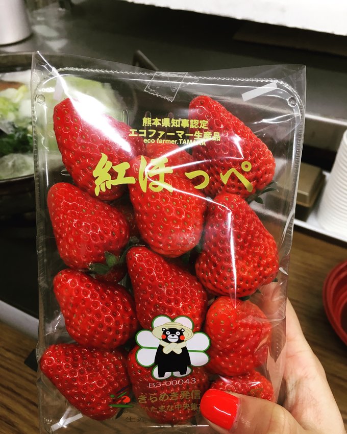 16年的大阪,京都樱花2016