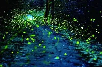 回忆童年如果时光能倒流该多好,你是否还会想起童年的那些事