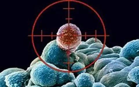 细胞治疗技术大全,细胞治疗价格一览表