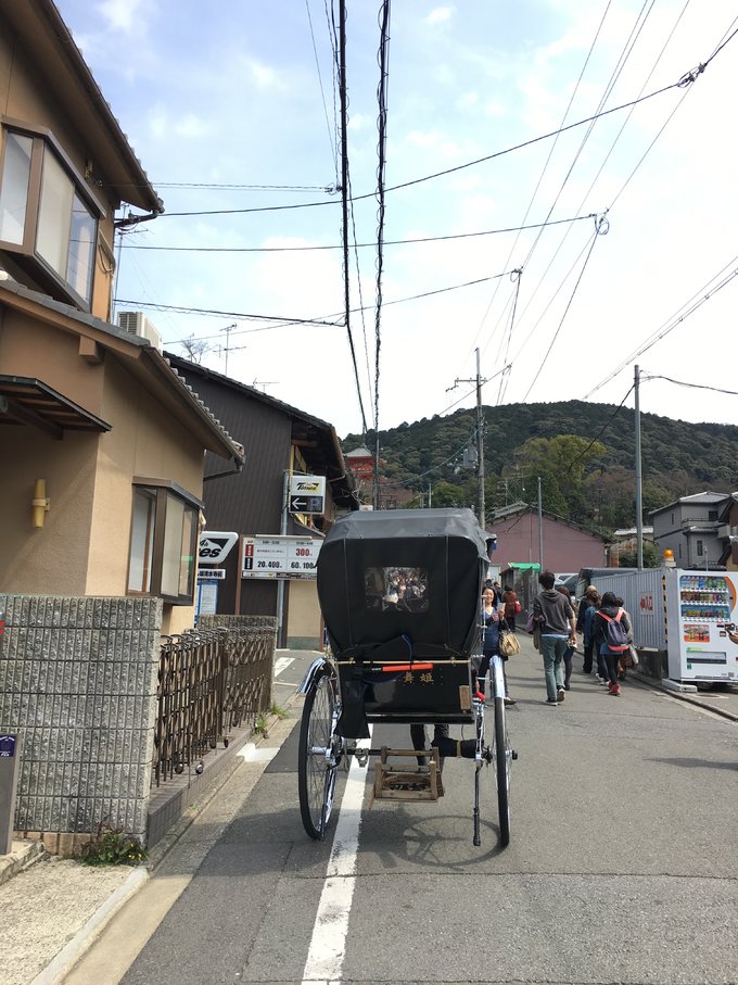 16年的大阪,京都樱花2016