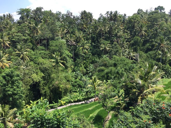 巴厘蓝梦岛和佩尼达岛,巴厘岛旅游蓝梦岛