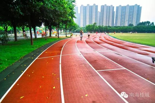 2023年沥桂龙舟赛时间,沥桂杯龙舟2019赛程