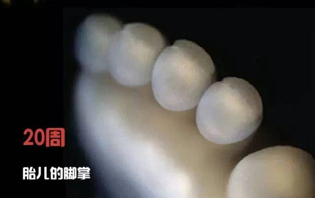 造人计划之前必须要做的几件事,造人是个很辛苦的事情