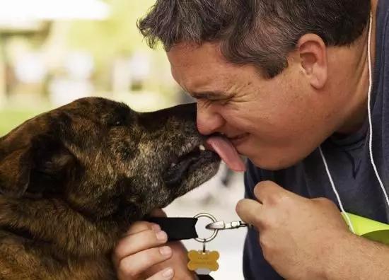 为啥流浪狗会突然发狂,流浪狗行为怪异