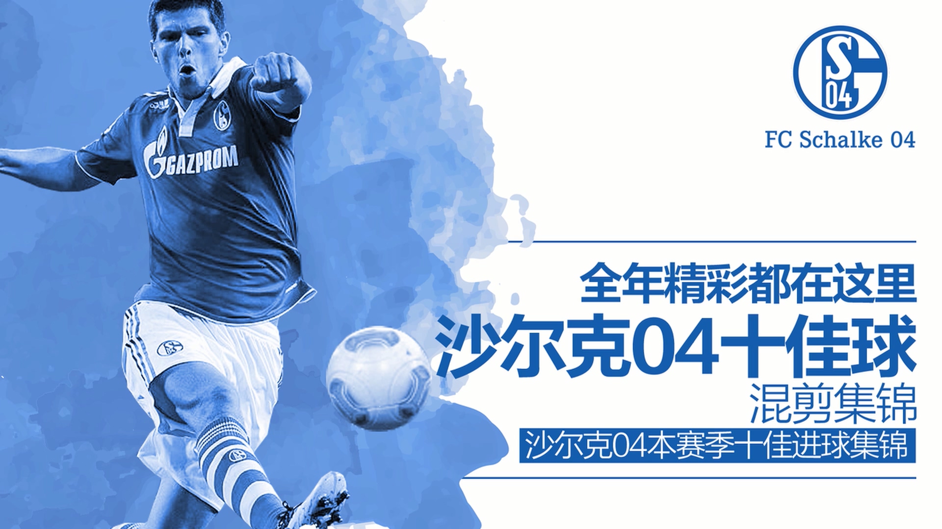 沙尔克04全场集锦,2006年德国世界杯十大难忘瞬间