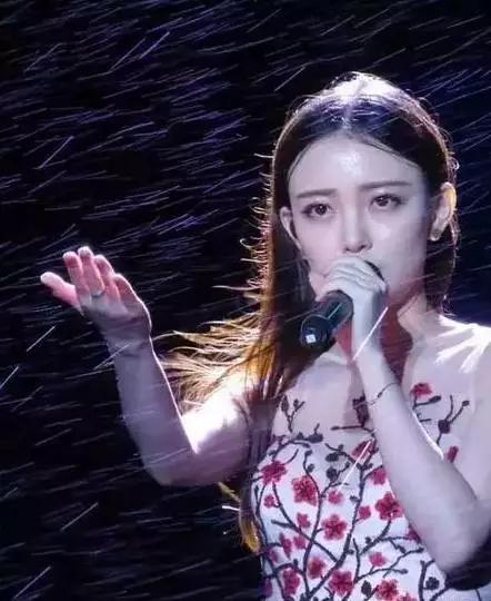 你知道广西有哪些明星或网红吗,广西的网红树