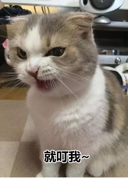 皇上快把臣妾打入冷宫小说,皇上把我打入冷宫吧