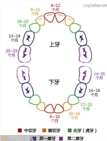受益匪浅新手爸妈必读