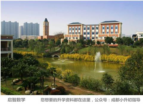 成都最难进的大学排名,成都最难进的十所小学