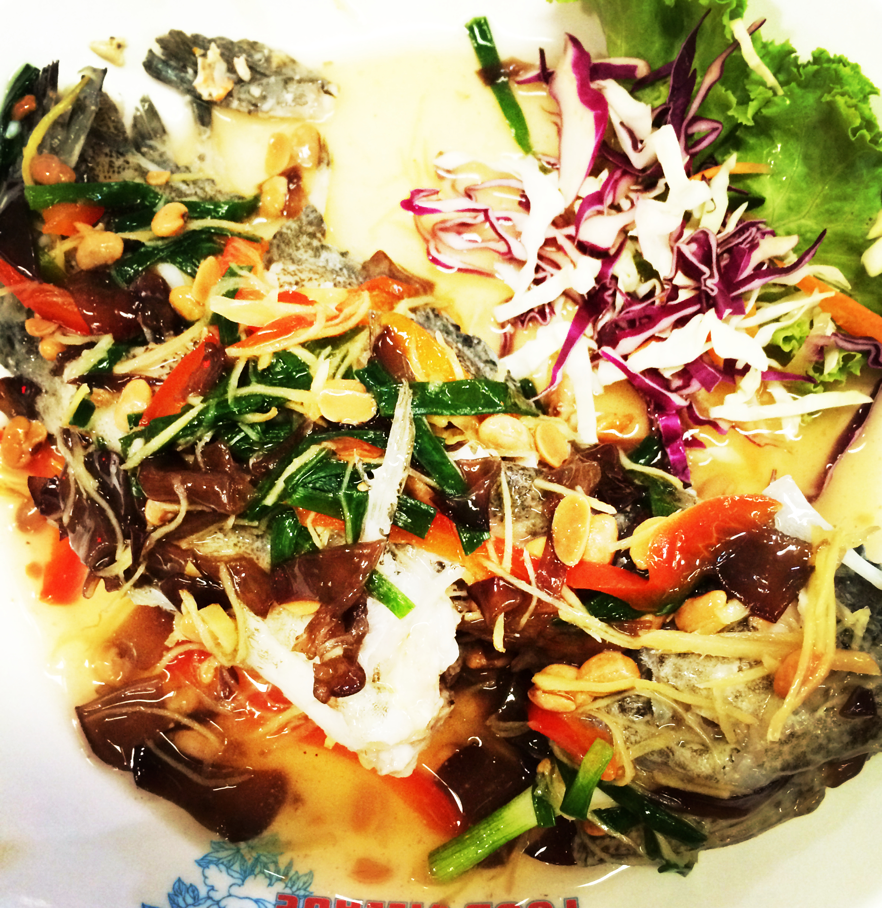 清凉一夏给你5个必去宿雾的理由,清凉一夏不需要太多理由