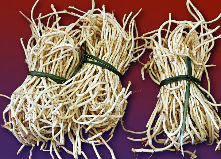 那些被我们随手扔掉的中药,你扔掉的可能是有用的中药材